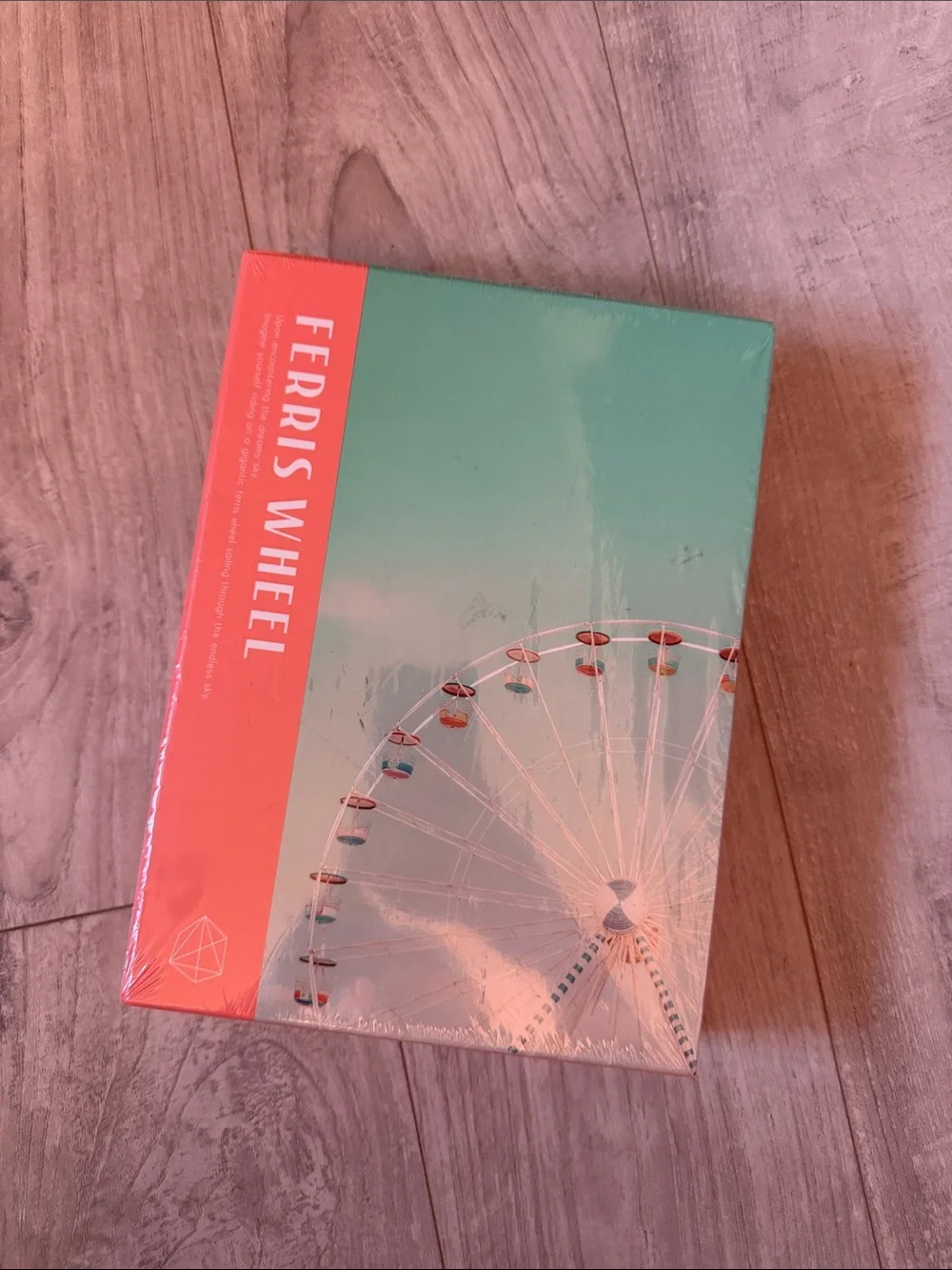 Ferris Wheel Puzzle Game - Teal and Coral 500 pieces